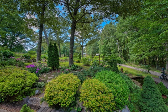 14 Oakwood Ave, Summertown, TN 38483 - photo 68
