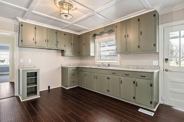 805 N Chancery St, Mcminnville, TN 37110 - kitchen featuring light countertops, healthy amount of natural light, coffered ceiling, dark wood-style flooring, and ornamental molding