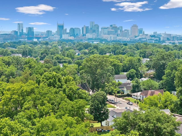 1003 N 5th St, Nashville, TN 37207 - photo 81