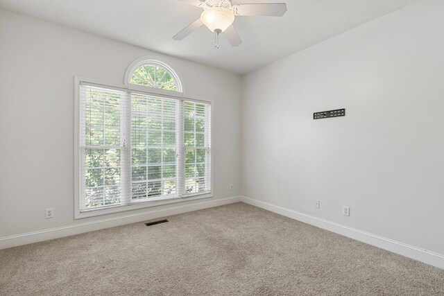 3930 Olyvia Ct, Cookeville, TN 38506 - photo 29