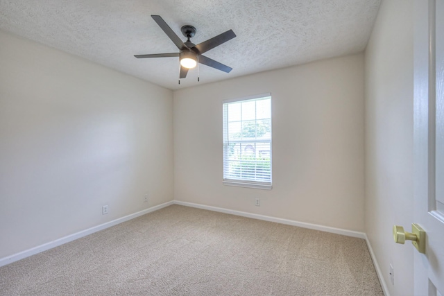 1228 Ballater Dr, Murfreesboro, TN 37128 - photo 19