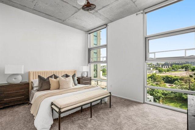 700 12th Ave S Unit 507, Nashville, TN 37203 - bedroom with carpet