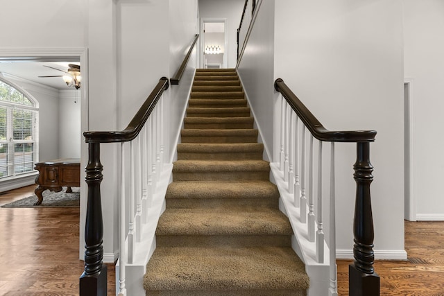630 Black Horse Pkwy, Franklin, TN 37069 - stairs with wood finished floors, ceiling fan, and crown molding