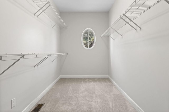 630 Black Horse Pkwy, Franklin, TN 37069 - spacious closet featuring carpet floors