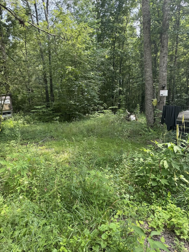 57 Stonewall Pike, Beechgrove, TN 37018 - view of tree filled area