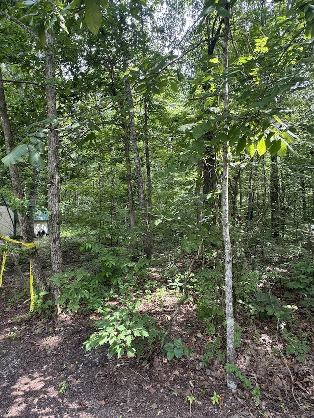 57 Stonewall Pike, Beechgrove, TN 37018 - view of woods