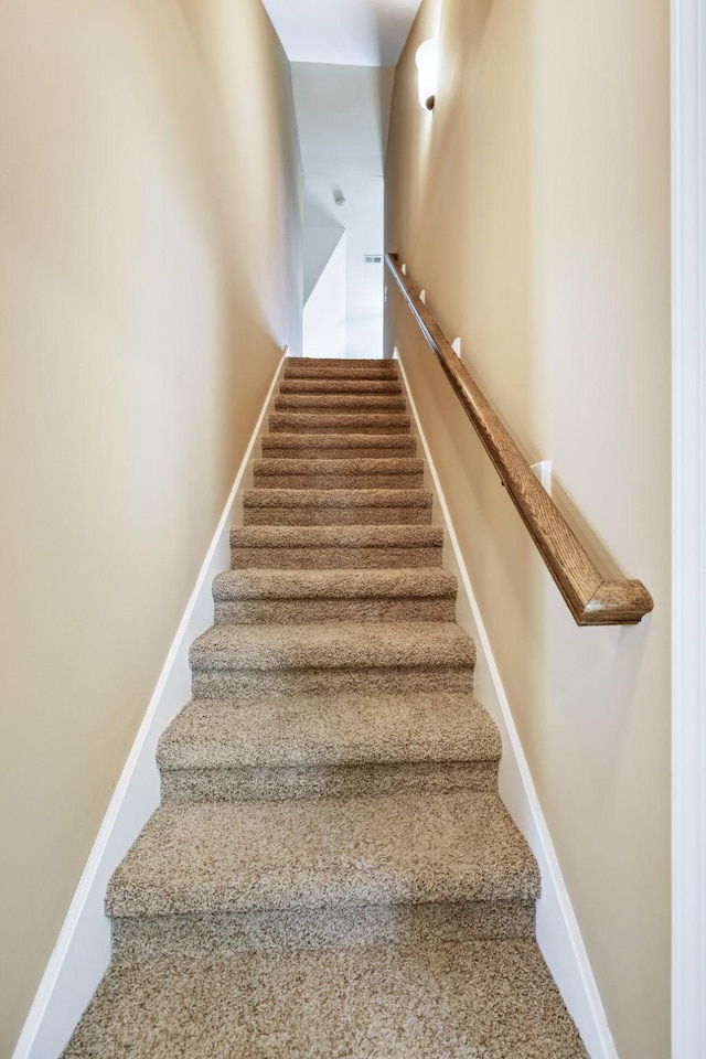 313 Amazonway Rdg, Murfreesboro, TN 37130 - photo 47