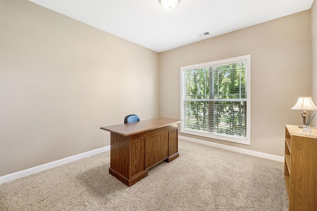 313 Amazonway Rdg, Murfreesboro, TN 37130 - photo 53
