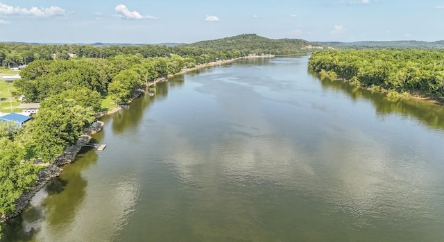 1085 Wc Pickett Rd, Clifton, TN 38425