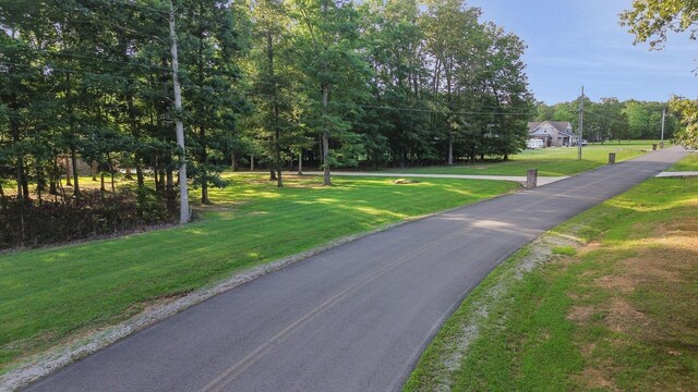 734 Bonner Way, Estill Springs, TN 37330 - photo 59