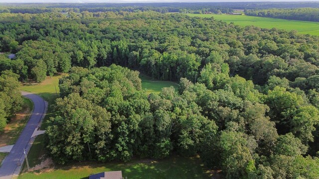 734 Bonner Way, Estill Springs, TN 37330 - photo 56