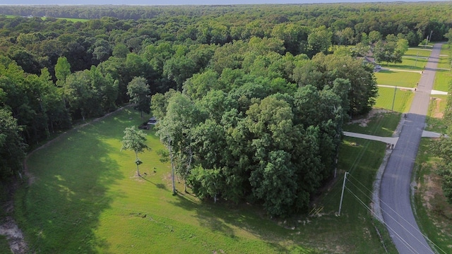 734 Bonner Way, Estill Springs, TN 37330 - photo 51