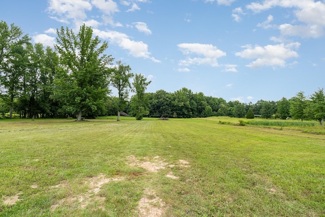 8044 Pleasant Hill Rd, Cross Plains, TN 37049 - photo 30