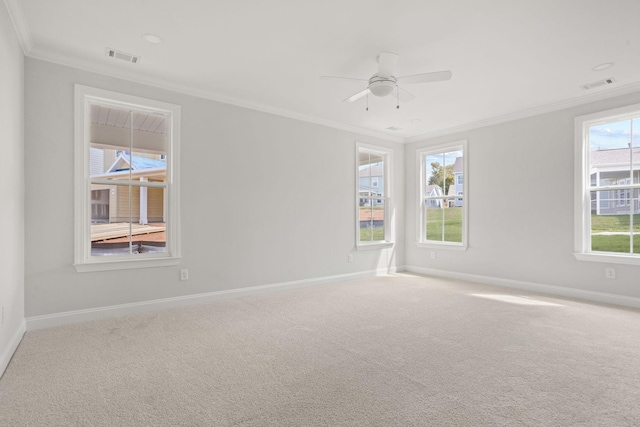 7507 Old Nashville Rd S, Fairview, TN 37062 - empty room with crown molding, carpet flooring, and ceiling fan