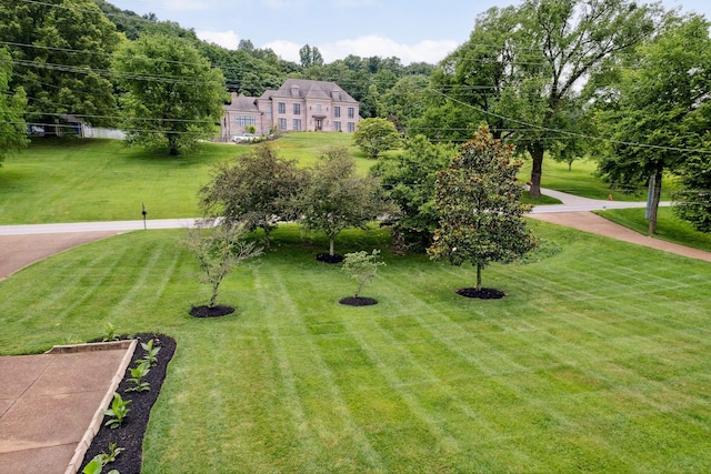 1470 Tyne Blvd, Nashville, TN 37215 - surrounding community featuring a yard