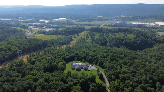299 Boxwood Ln, Dayton, TN 37321 - photo 46