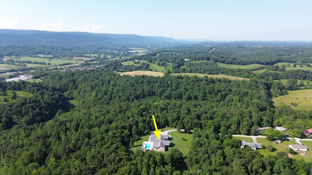 299 Boxwood Ln, Dayton, TN 37321 - photo 47