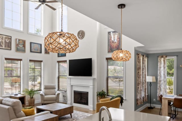 1588 Cobbler Ct, Chattanooga, TN 37421 - living room with a fireplace, a ceiling fan, a high ceiling, and wood finished floors