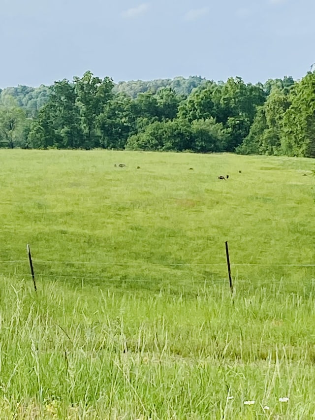 450 Wolf Pit Rd, Erin, TN 37061 - view of local wilderness with rural landscape
