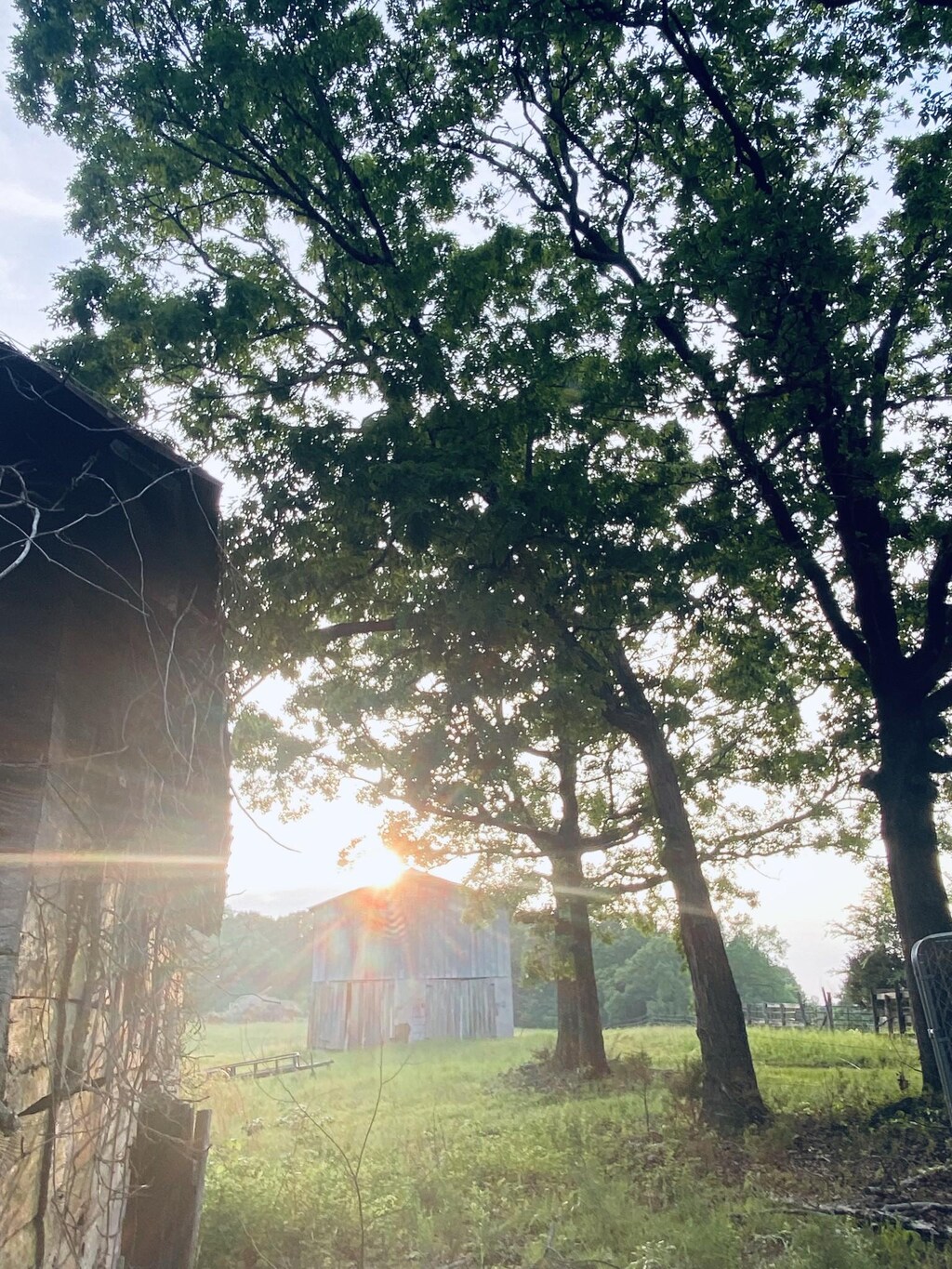 450 Wolf Pit Rd, Erin, TN 37061 - view of yard