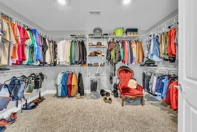 267 Alonzo Pl, Cunningham, TN 37052 - spacious closet featuring carpet flooring