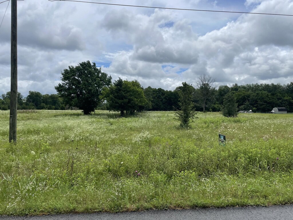0 Karo Rd, Bell Buckle, TN 37020 - photo 1