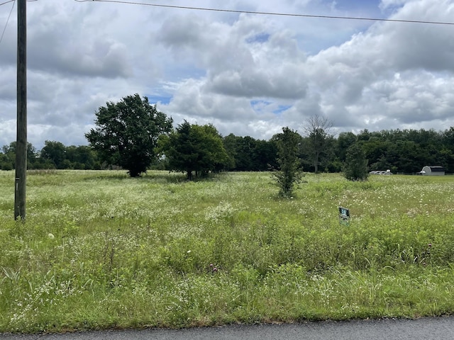 0 Karo Rd, Bell Buckle, TN 37020 - photo 1
