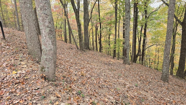 3 Savannah Dr, Smithville, TN 37166 - photo 2