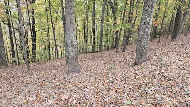 3 Savannah Dr, Smithville, TN 37166 - photo 1