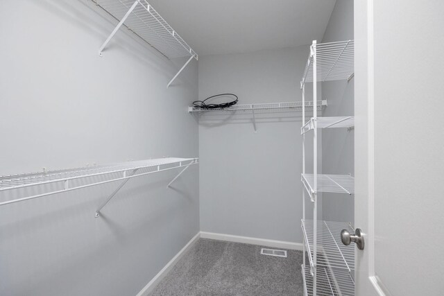 3044 Stone Bridge Rd, Antioch, TN 37013 - spacious closet with carpet floors