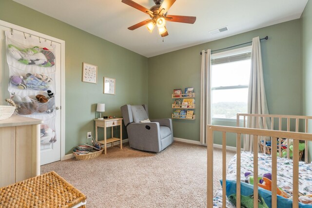 905 Aberdeen Ct, Columbia, TN 38401 - photo 49
