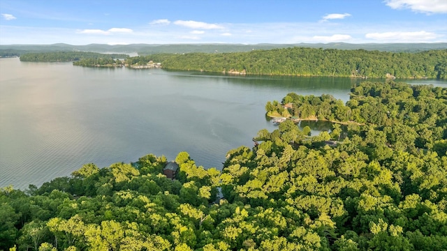 490 Rockview Dr, Spring City, TN 37381 - photo 62