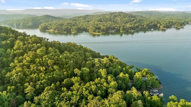 490 Rockview Dr, Spring City, TN 37381 - photo 56
