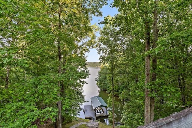 490 Rockview Dr, Spring City, TN 37381 - photo 44