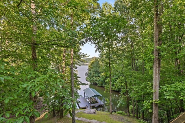 490 Rockview Dr, Spring City, TN 37381 - photo 8