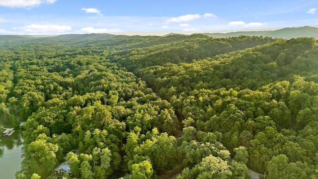490 Rockview Dr, Spring City, TN 37381 - photo 59