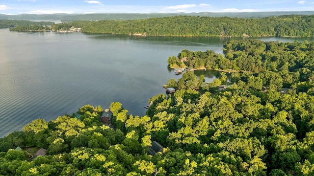 490 Rockview Dr, Spring City, TN 37381 - photo 53