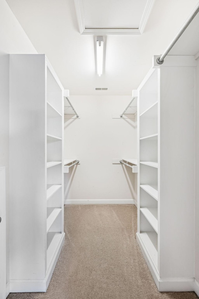 8005 Ragusa Cir, Spring Hill, TN 37174 - walk in closet featuring carpet floors