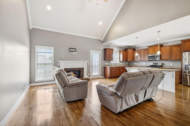 8005 Ragusa Cir, Spring Hill, TN 37174 - living area with crown molding, plenty of natural light, high vaulted ceiling, dark wood-style flooring, and a fireplace