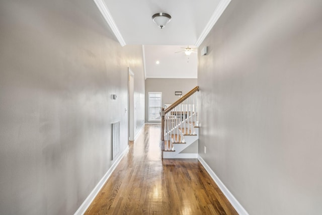8005 Ragusa Cir, Spring Hill, TN 37174 - hall with crown molding, stairs, and wood finished floors