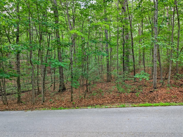 0 Shadow Rock, Monteagle, TN 37356 - photo 5