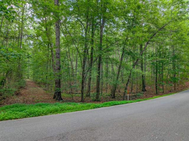 0 Shadow Rock, Monteagle, TN 37356 - photo 4