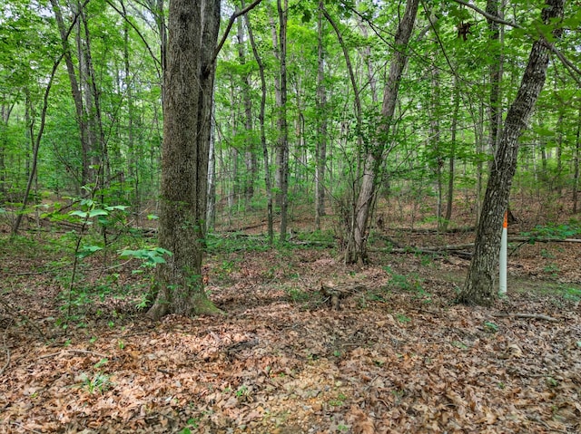 0 Shadow Rock, Monteagle, TN 37356 - photo 11