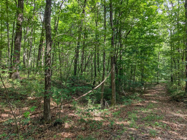 0 Shadow Rock, Monteagle, TN 37356 - photo 9