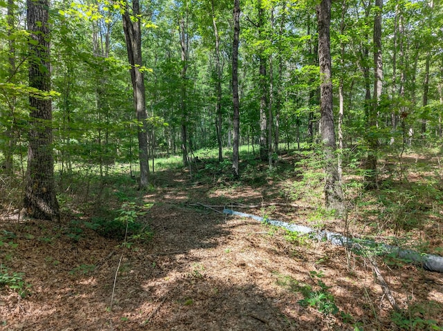 0 Shadow Rock, Monteagle, TN 37356 - photo 6