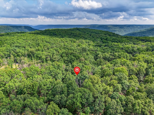 0 Shadow Rock, Monteagle, TN 37356 - photo 8