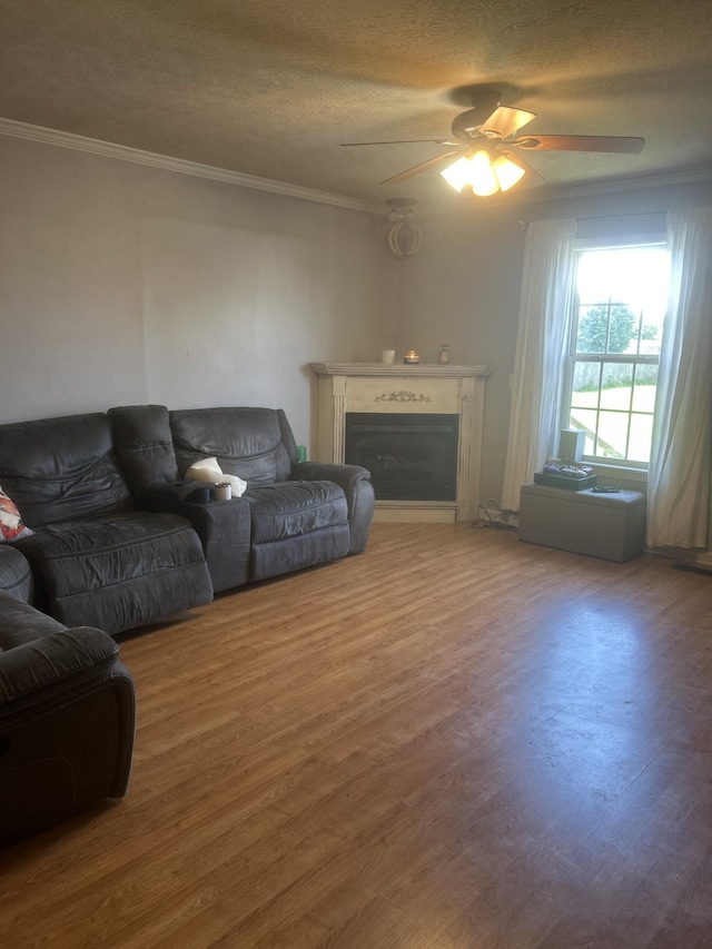 2075 Akersville Rd, Lafayette, TN 37083 - photo 13