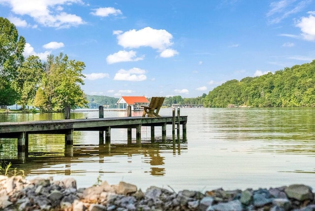 647 Omega Dr, Spring City, TN 37381 - dock area with a water view and a wooded view