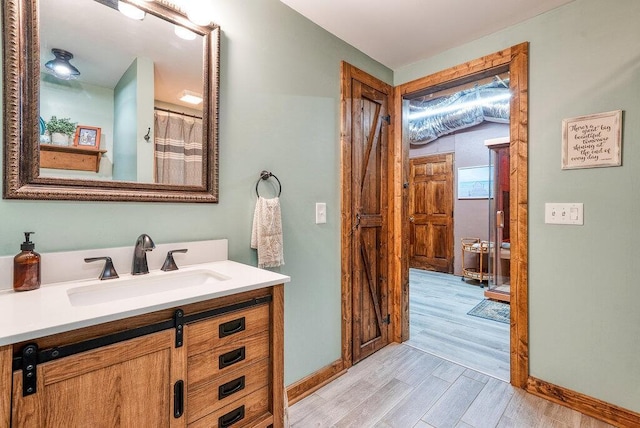 647 Omega Dr, Spring City, TN 37381 - bathroom with vanity and wood finished floors
