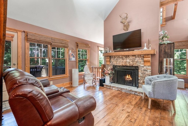 647 Omega Dr, Spring City, TN 37381 - living area featuring high vaulted ceiling, hardwood / wood-style floors, and a fireplace